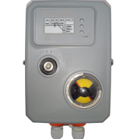 ACTUADOR ELECTRICO ON/OFF SET110-300-110/220VAC - Image 2