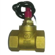 INTERRUPTOR DE FLUJO TIPO PISTON BRONCE 3/4″ 061H4502-S