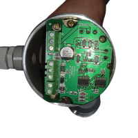 SENSOR DE NIVEL SOLIDOS 1 NPT PALETA 52505S24VDC - Image 3