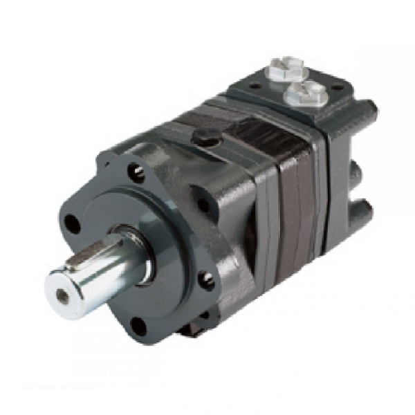 OMS-315 CILINDRICO 315 CM³/REV