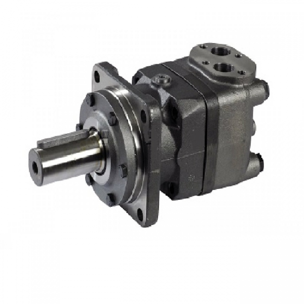 OMT-315 CILINDRICO 315 CM³/REV