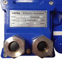 ACTUADOR ELECTRICO ON OFF A PRUEBA DE EXPLOSION EX D BT4 100Nm 24VDC - Image 2