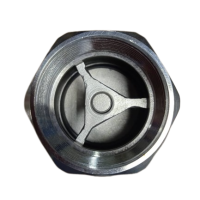 CHEQUE INOX HIDRO 3/4″ 241605-S - Image 2