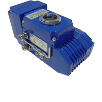 ACTUADOR ELECTRICO PROPORCIONAL SET50P-110VAC